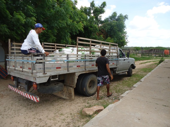 Emater em parceira com Prefeitura de Caraúbas, realiza distribuição de sementes para os agricultores