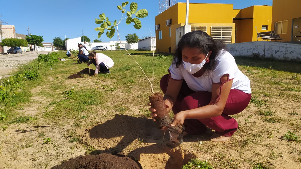 Semana do Meio Ambiente – Prefeitura de Caraúbas realiza plantio de mudas nativas