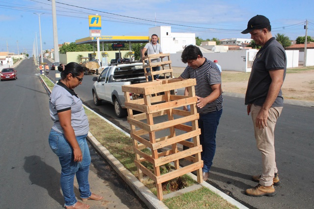 Rearborização de várias praças faz parte da programação em comemoração aos 155 anos de emancipação política de Caraúbas