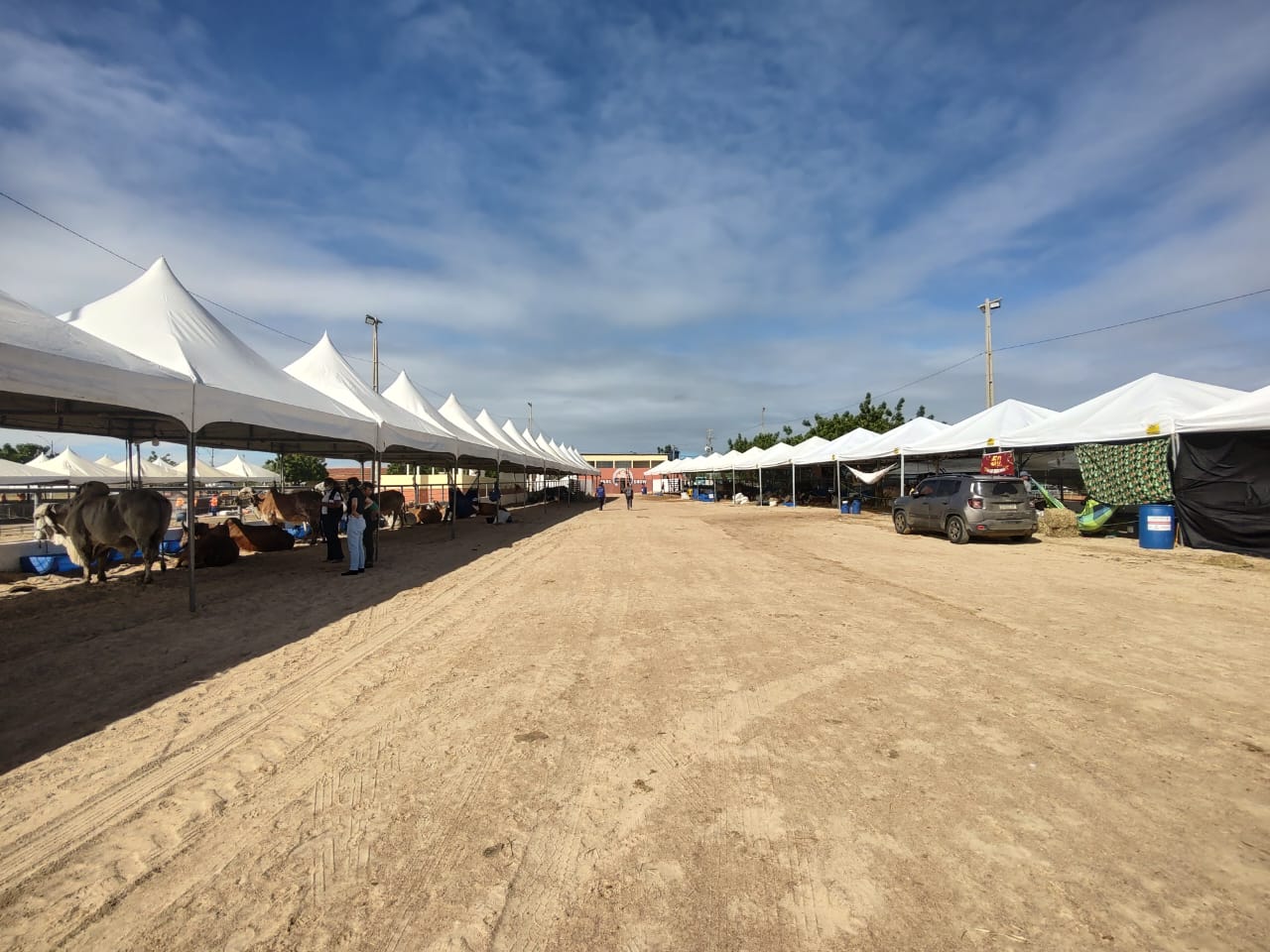 Estrutura da 5ª Expoeste começa a ser montada no Saia Rodada Park Show