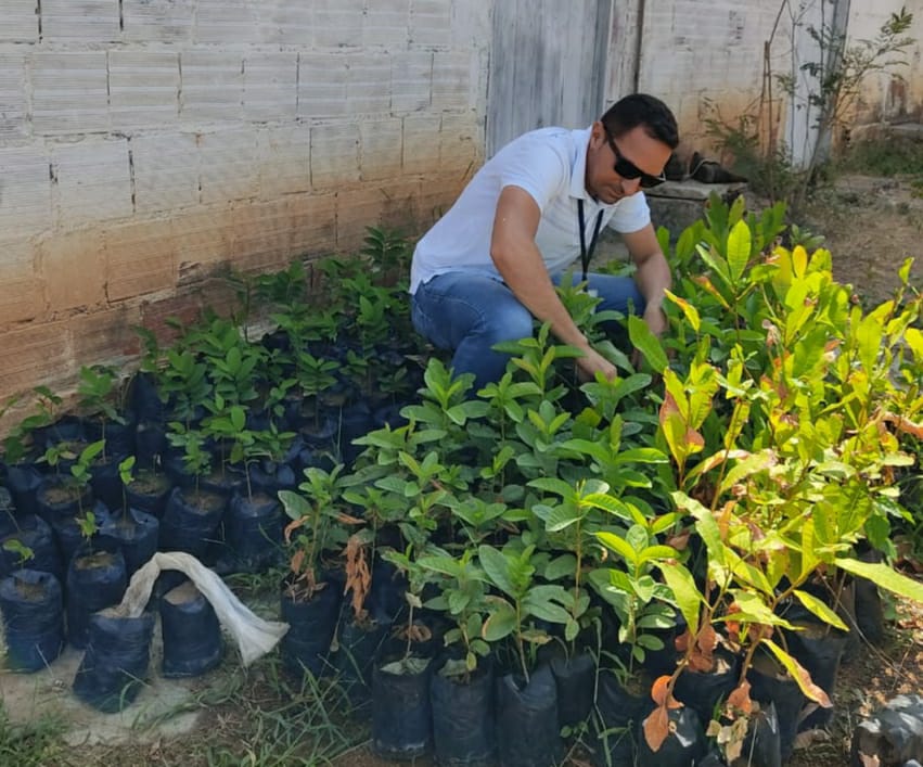 Secretaria de Políticas do Campo e Meio Ambiente doa mudas de plantas frutíferas neste Dia da Árvore em Caraúbas