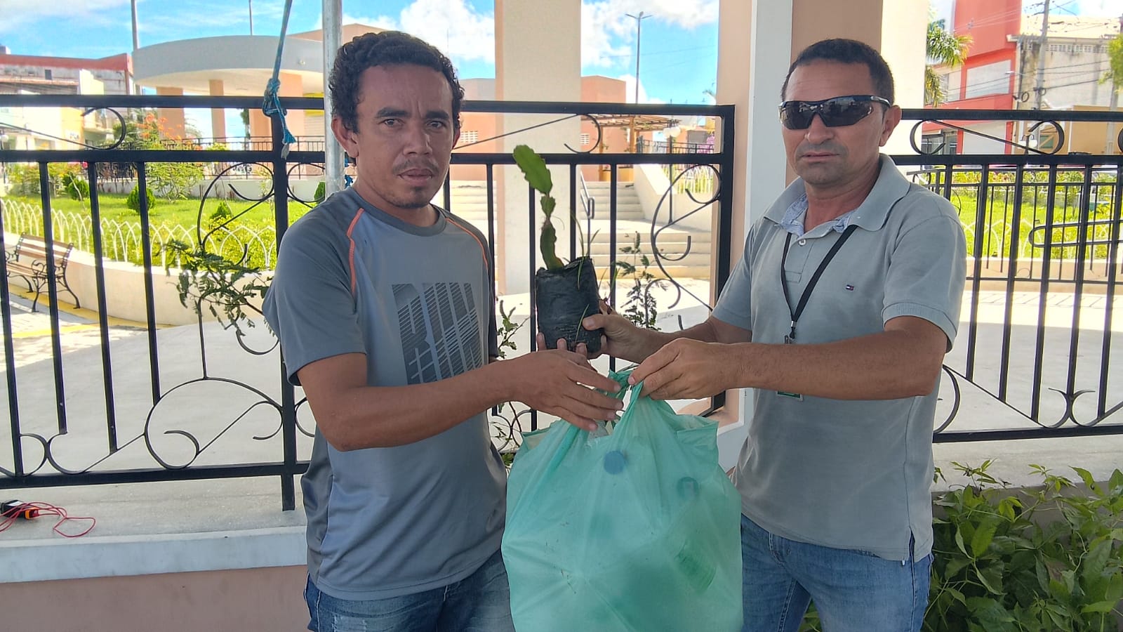 Prefeitura de Caraúbas em parceria com Acresea promove mutirão para troca de lixo reciclado por plantas nativas